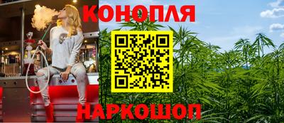 сатива Бузулук
